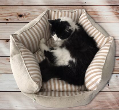 CUCCIA EASY - immagine 2